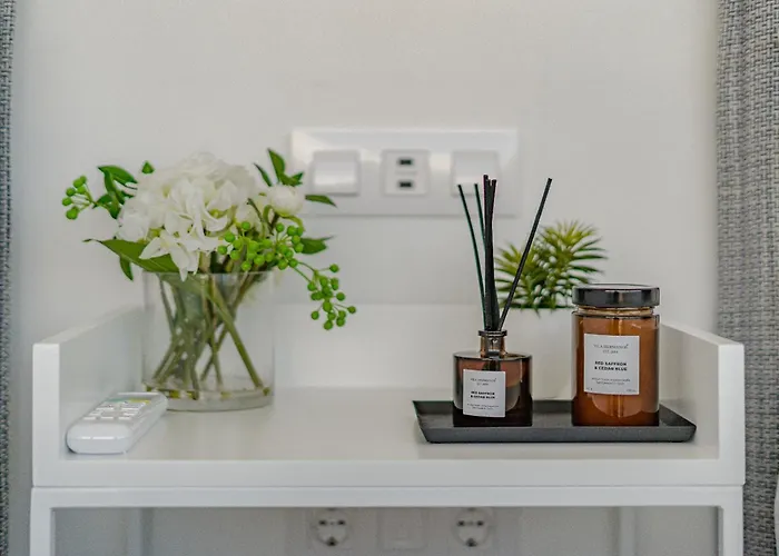 Estándar 1 - Casangular By Upper